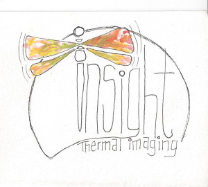 Insight Sketch