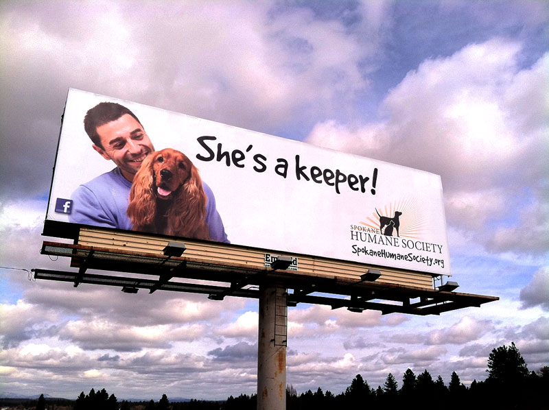 She's A Keeper Billboard