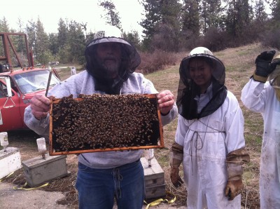 Tom Beekeeping