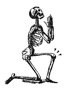 Skeleton Knee