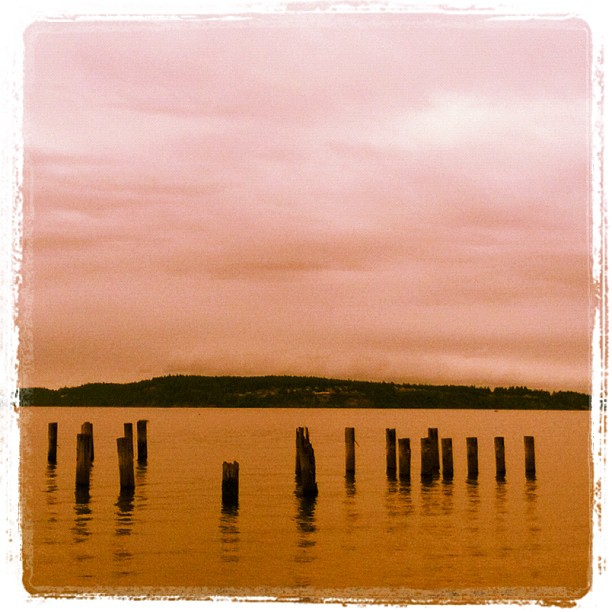 Puget Pilings