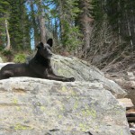 Soaking Up The Sun