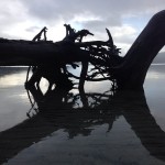 Waterlogged