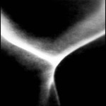 Brachium