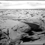 Tidal Flat