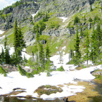 My dog 'Snow' cooling off in the cold stream. St. Paul Peak looms in the background.